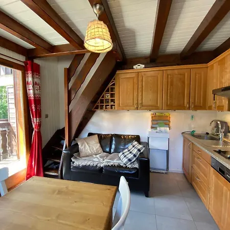 Appartement Ski-in Ski-out Avec Balcon Et Wifi à - Fr-1-693-70